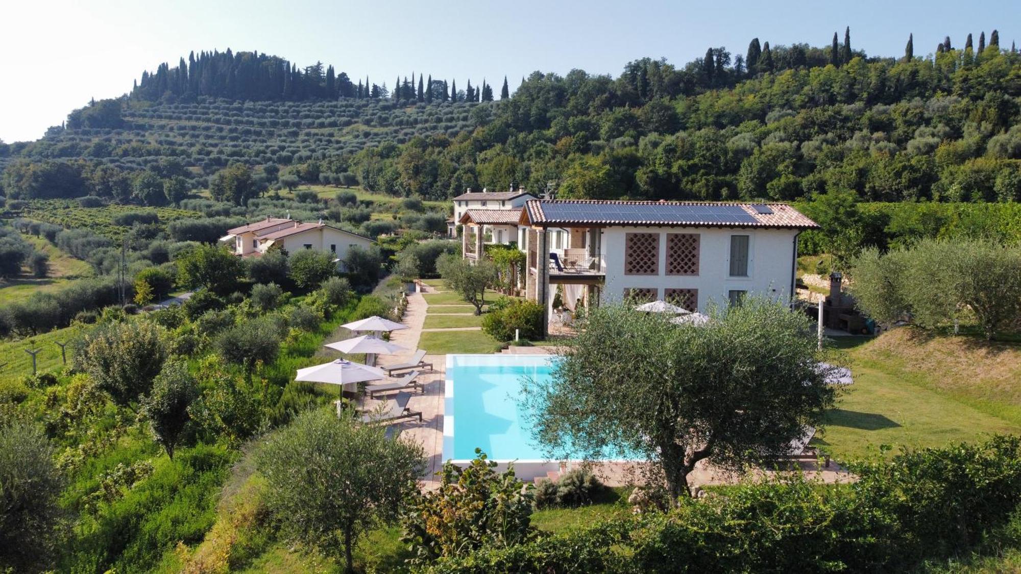 Casa Olivi Apartments Bardolino Extérieur photo